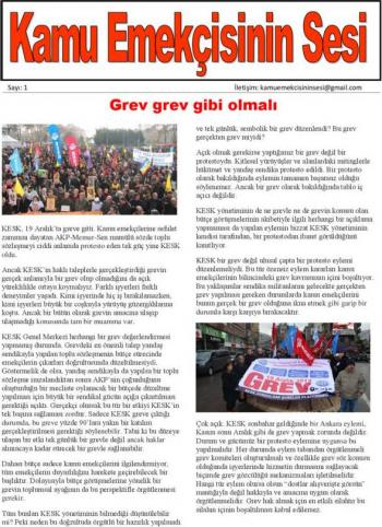 Kamu Emekçisinin Sesi sayı 1 kapak
